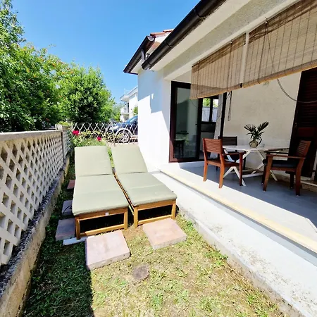 Aleksandar * 波雷奇