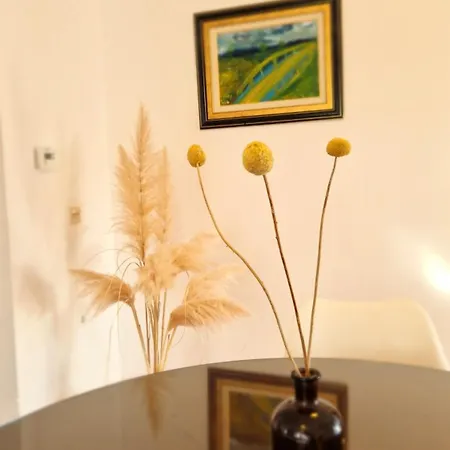 Aleksandar * 波雷奇