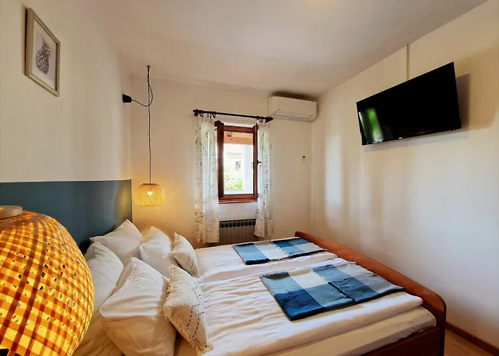 Aleksandar Apartman *