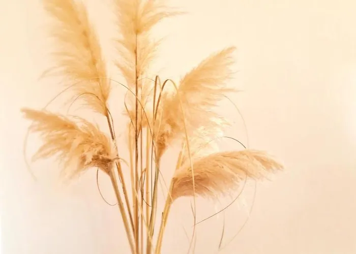 Apartman Aleksandar Poreč