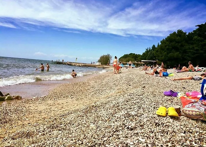 Aleksandar Apartman *