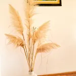 Apartment Aleksandar Porec