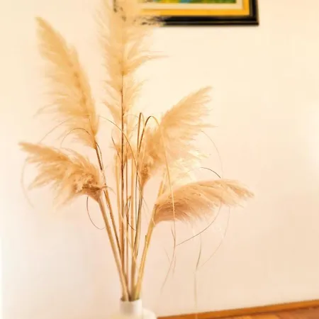 Apartman Aleksandar Porec